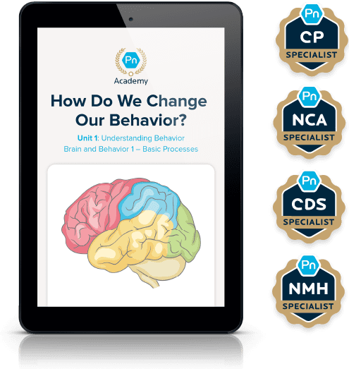 PN Academy Specialized Courses